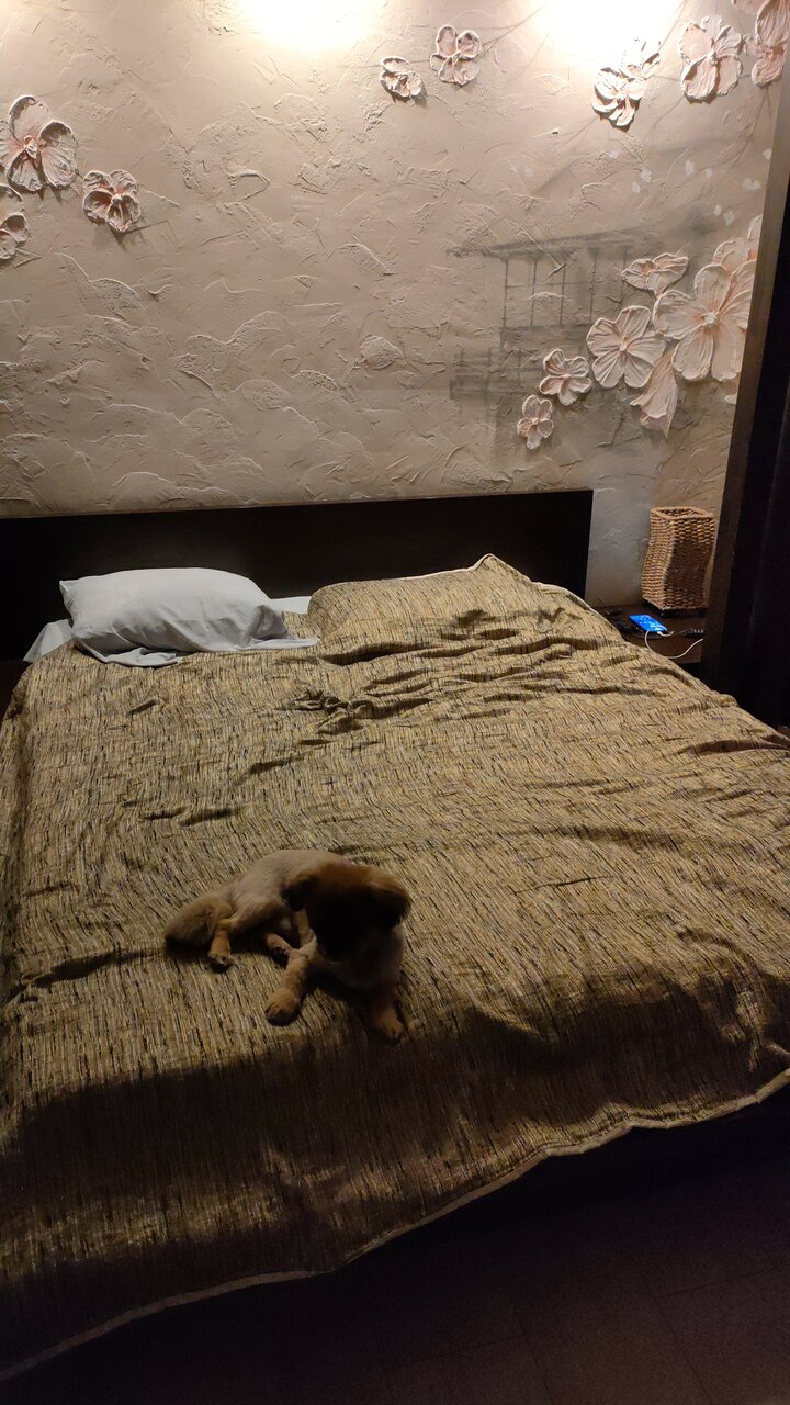 Гостиница Максимум Воронеж-67