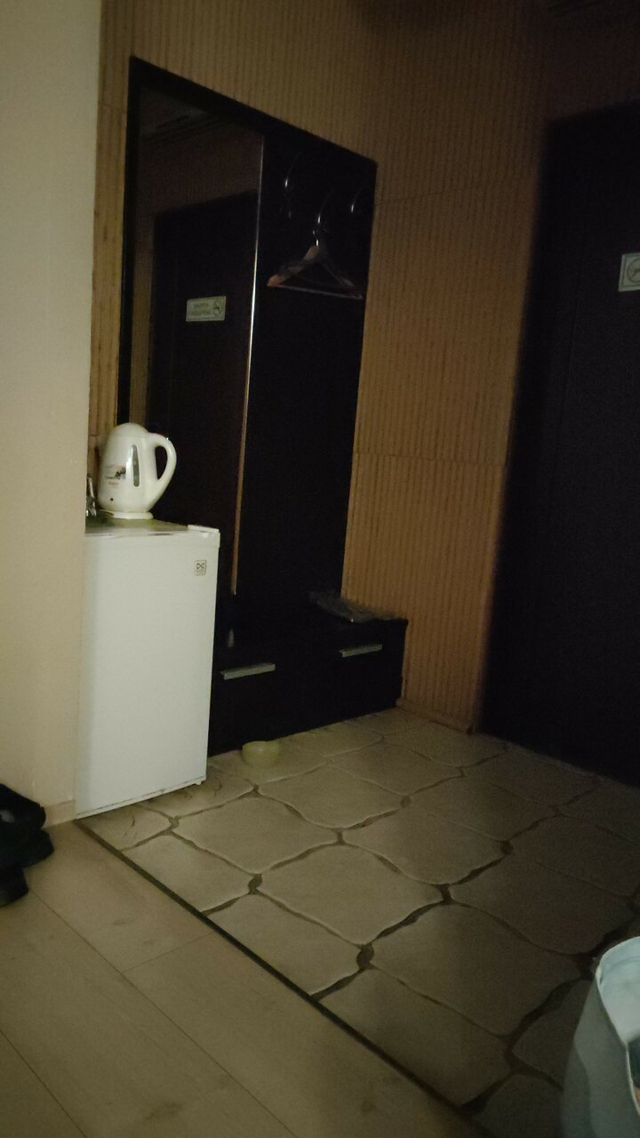 Гостиница Максимум Воронеж-100