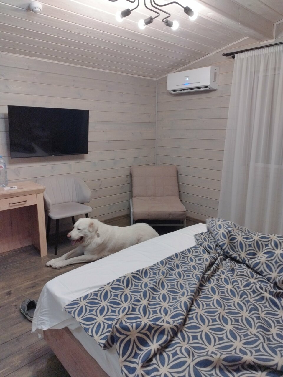 Гостиница Максимум Воронеж-88