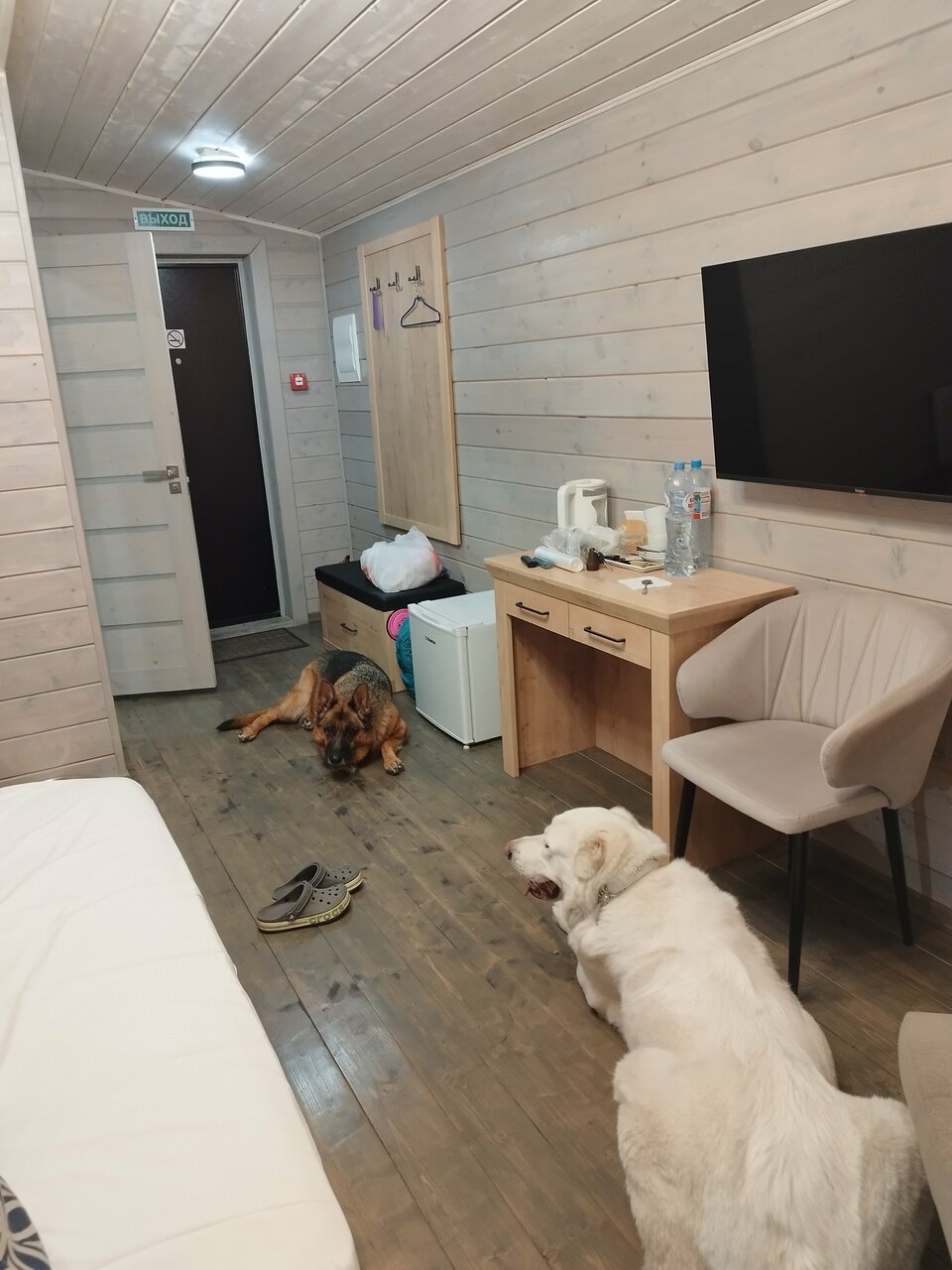 Гостиница Максимум Воронеж-99