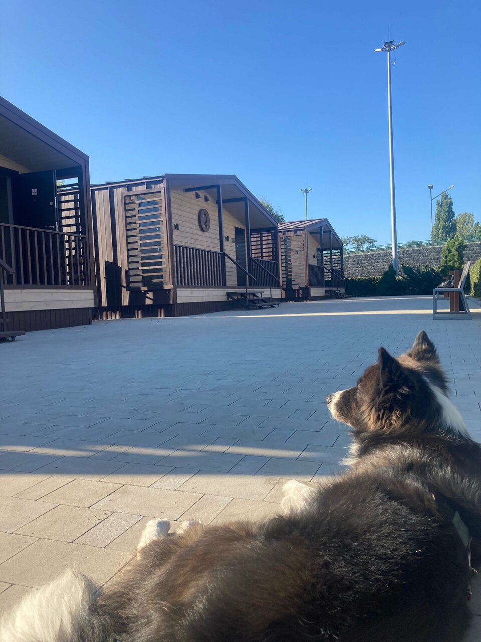 Гостиница Максимум Воронеж-17