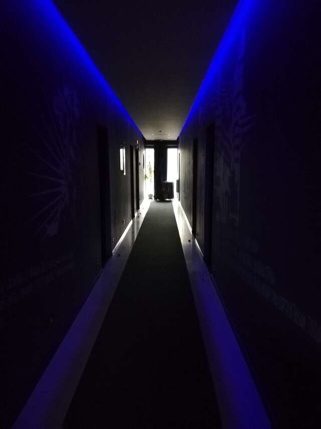 Гостиница Максимум Воронеж-123