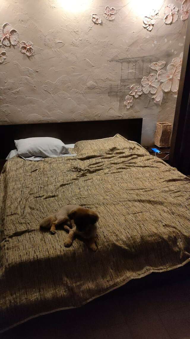 Гостиница Максимум Воронеж-66