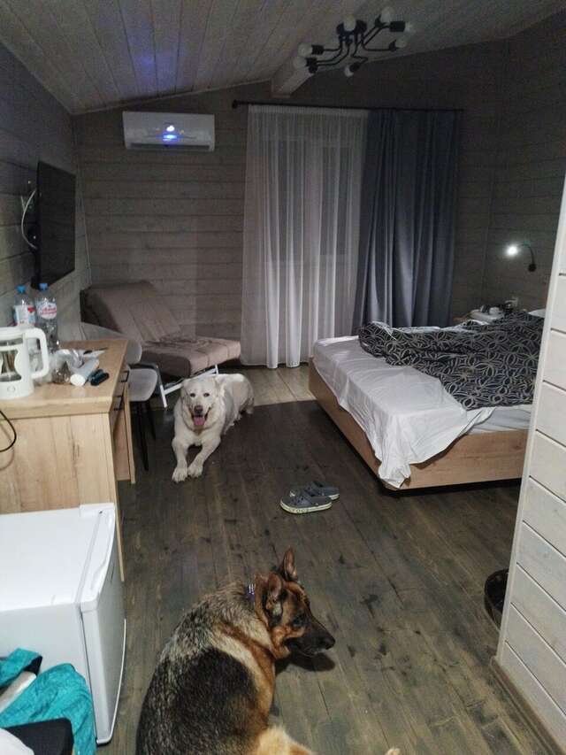 Гостиница Максимум Воронеж-30