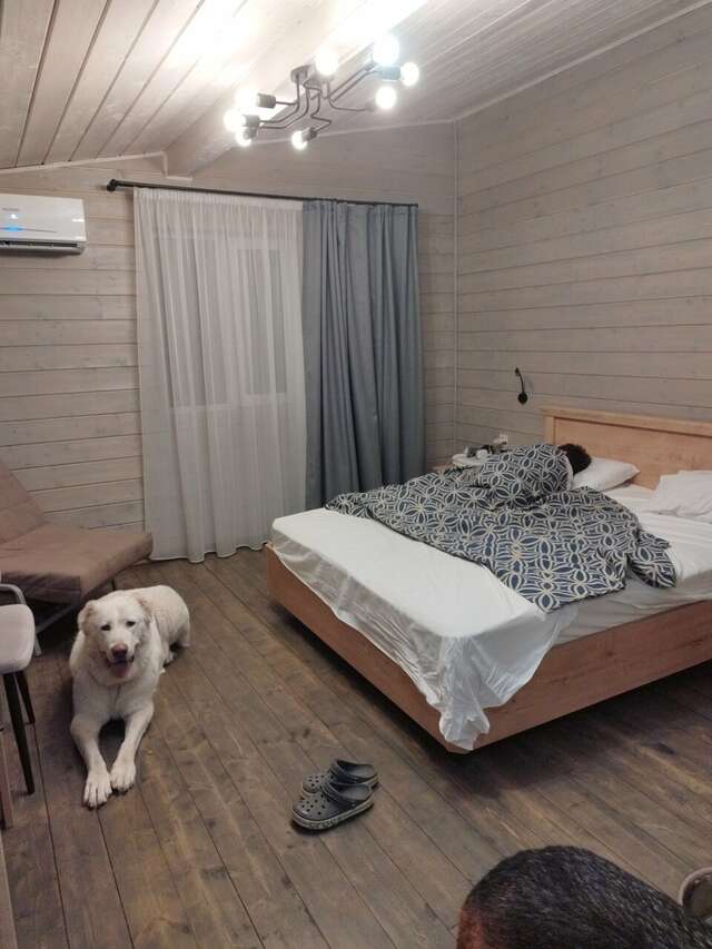 Гостиница Максимум Воронеж-62