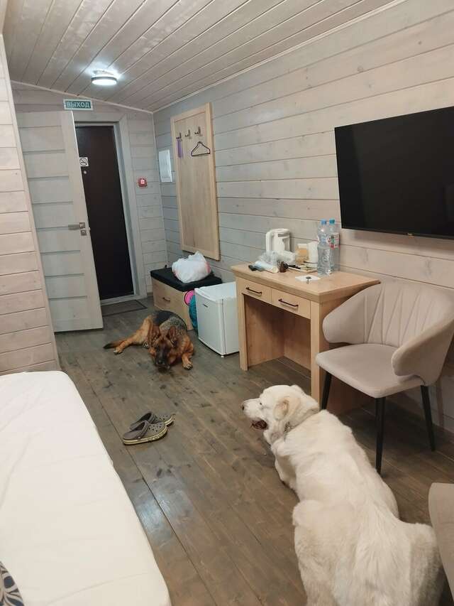 Гостиница Максимум Воронеж-98